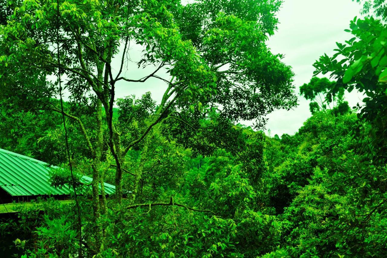 Green Cottage Элла Экстерьер фото